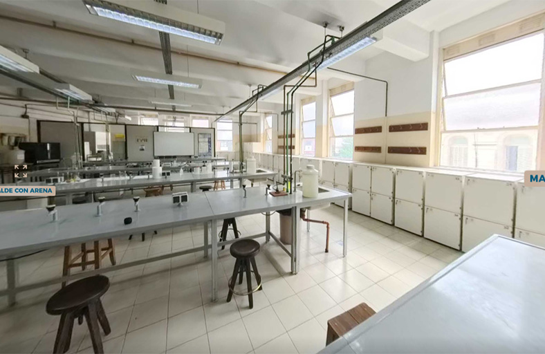 Estudio Citep 2024